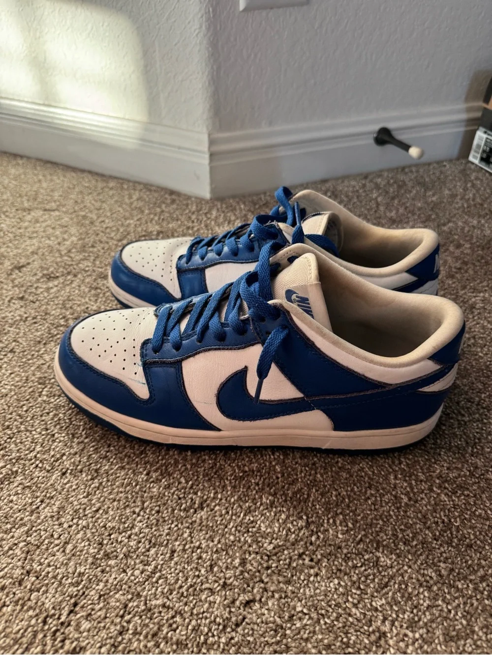 Nike Kentucky Dunks